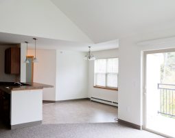 adult living community in twin lakes